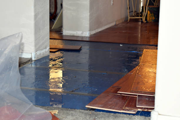 Professional Flood Damage Repair technician working in South Richmond Hill, NY